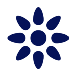 theme-icon